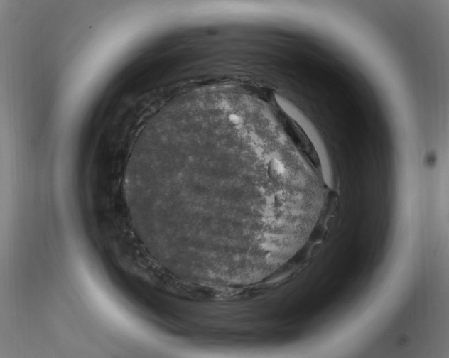 X0000116350766200912221502