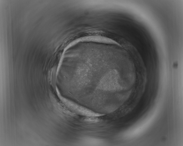 X0000116350767200912221502