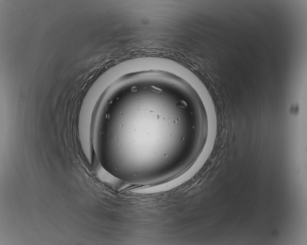 X0000116350769200912221501