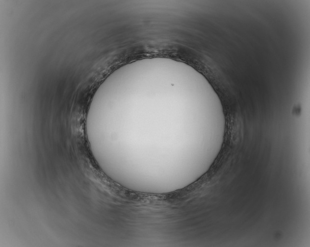 X0000116350770200912221501