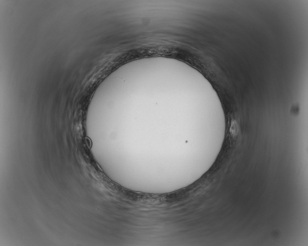 X0000116350771200912221501