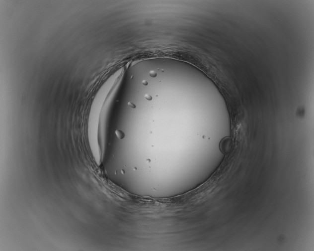 X0000116350772200912221501