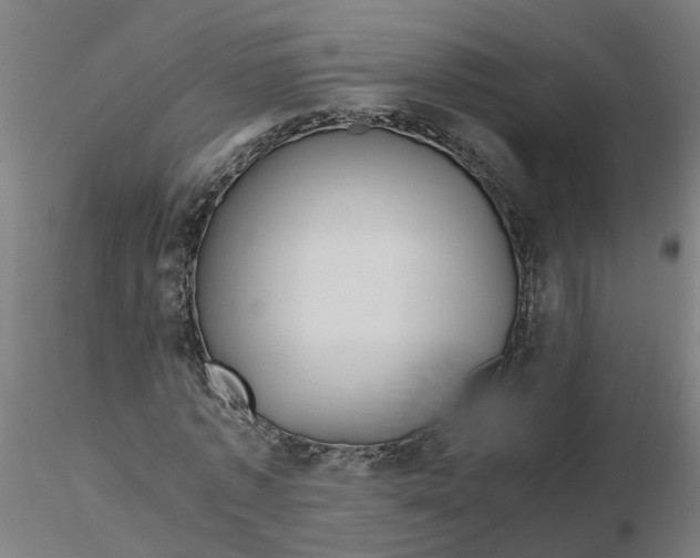 X0000116350773200912221501