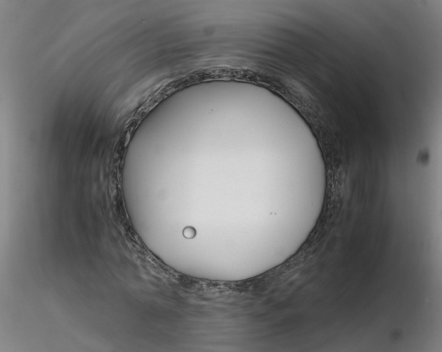 X0000116350774200912221501