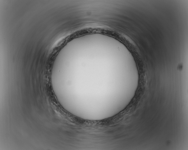 X0000116350775200912221501