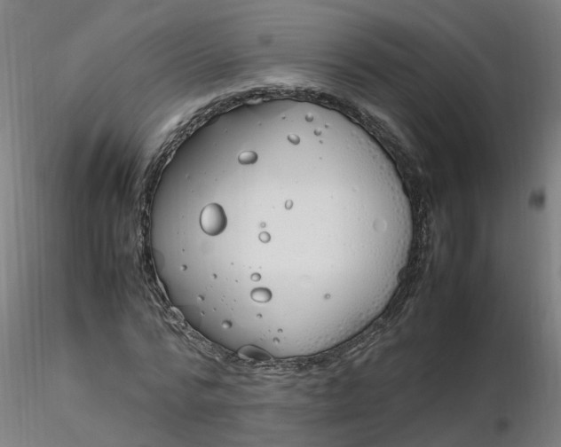 X0000116350776200912221501