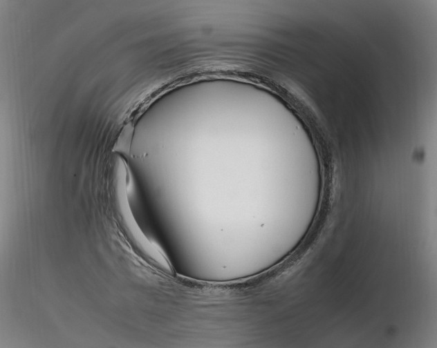 X0000116350777200912221501