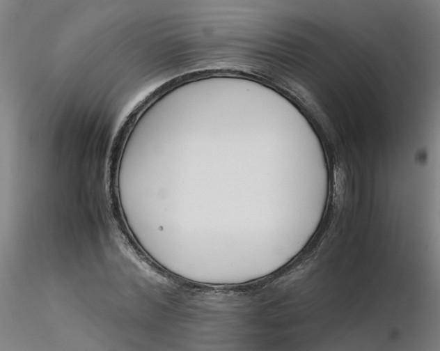 X0000116350780200912221501