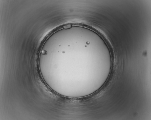 X0000116350783200912221501