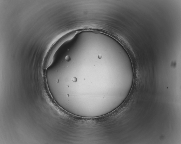 X0000116350784200912221501