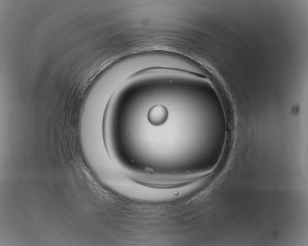 X0000116350785200912221501