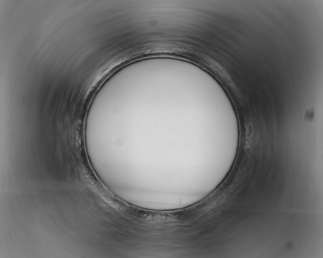 X0000116350786200912221501