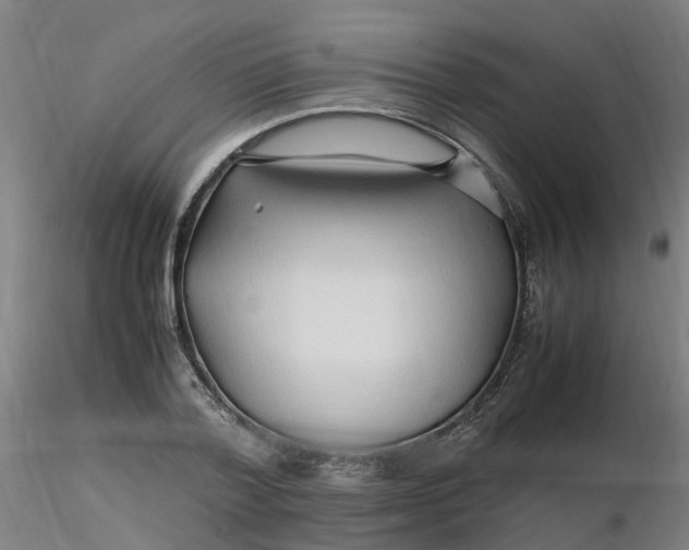 X0000116350788200912221501