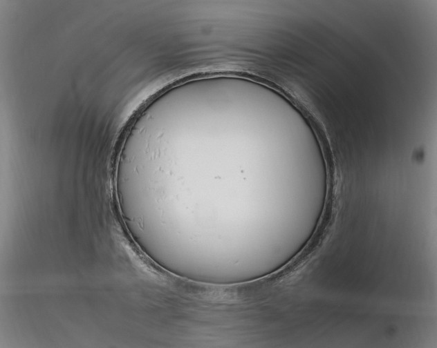 X0000116350789200912221501