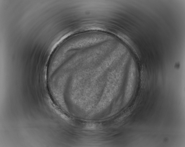 X0000116350790200912221501