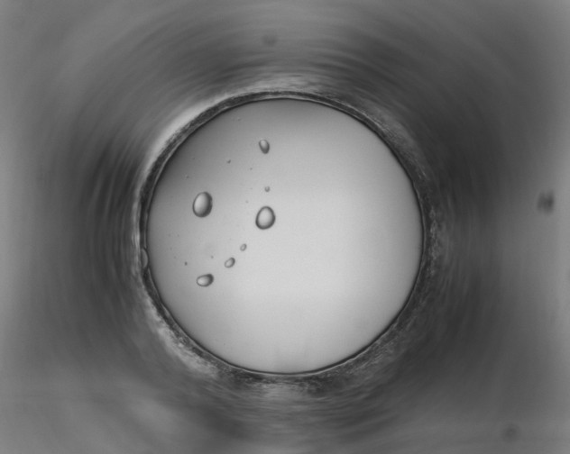 X0000116350792200912221501