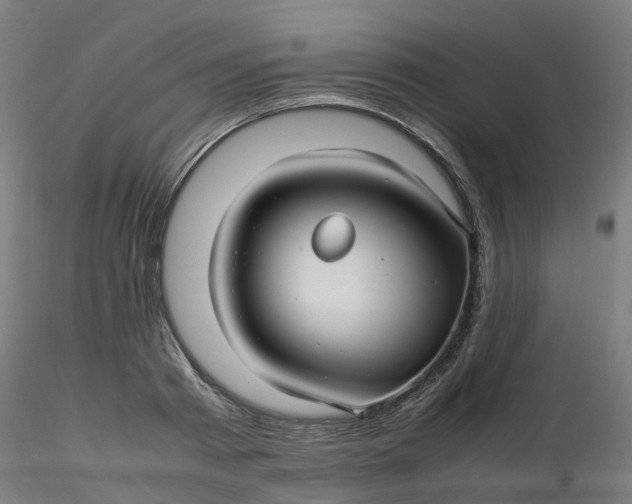 X0000116350793200912221501