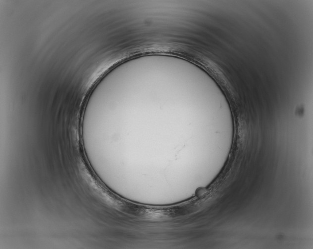 X0000116350794200912221501