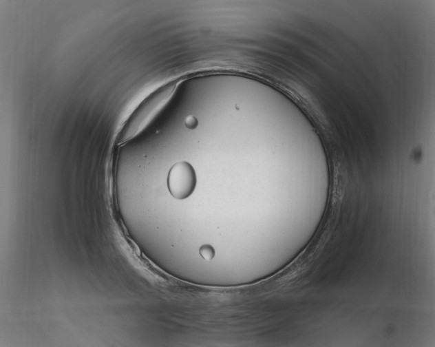 X0000116350796200912221501