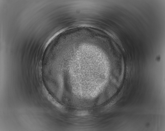 X0000116350798200912221501