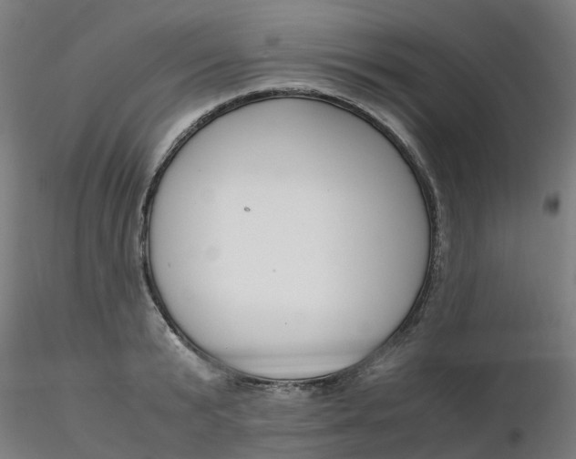 X0000116350799200912221501