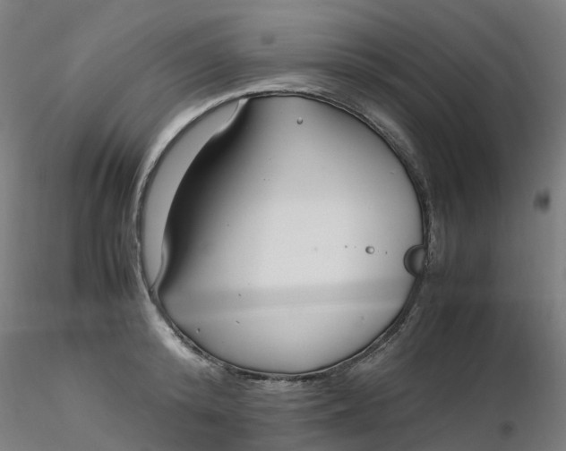 X0000116350800200912221501