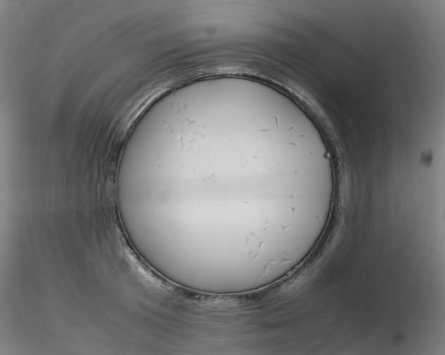 X0000116350801200912221501