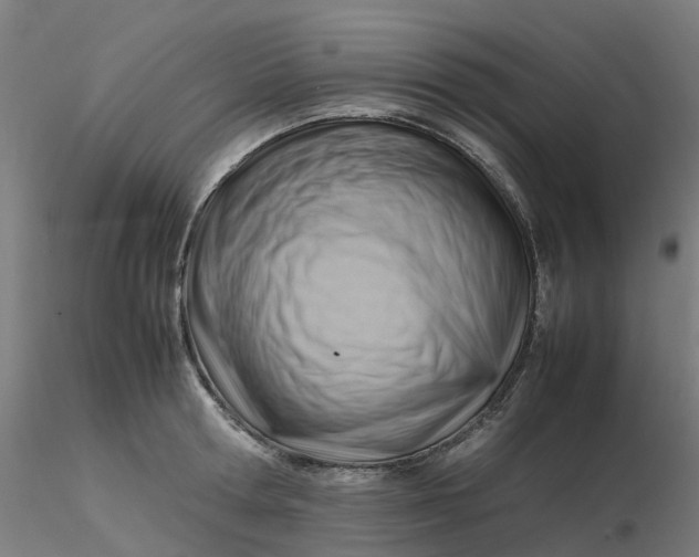 X0000116350802200912221501