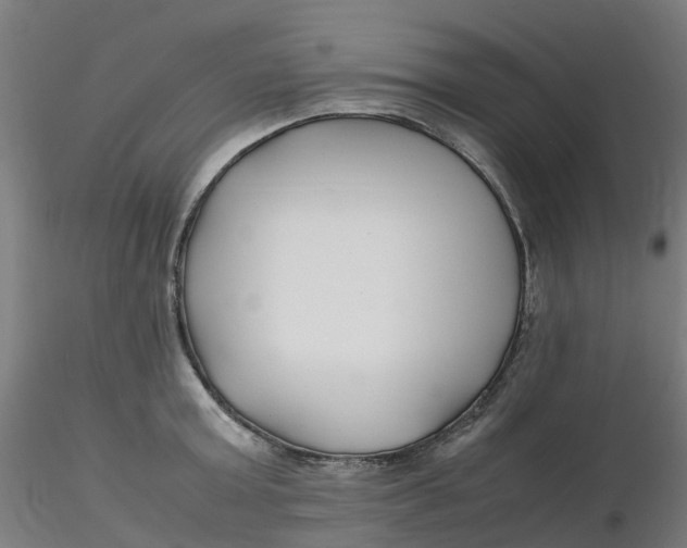 X0000116350803200912221501