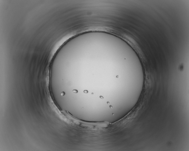 X0000116350804200912221501