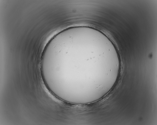 X0000116350805200912221501