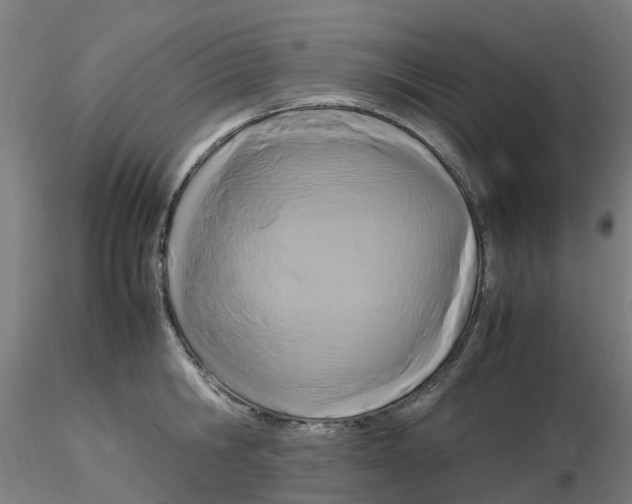 X0000116350806200912221501