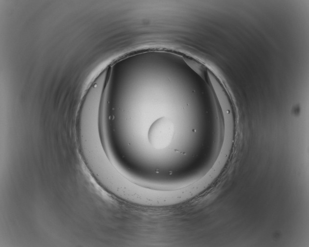 X0000116350807200912221501