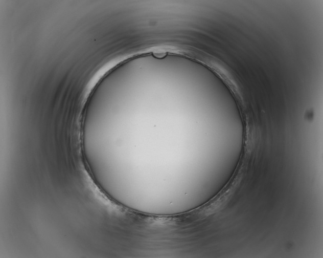 X0000116350808200912221501