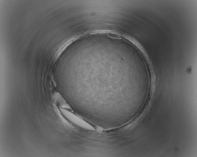 X0000116350809200912221501