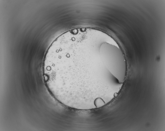 X0000116350810200912221500