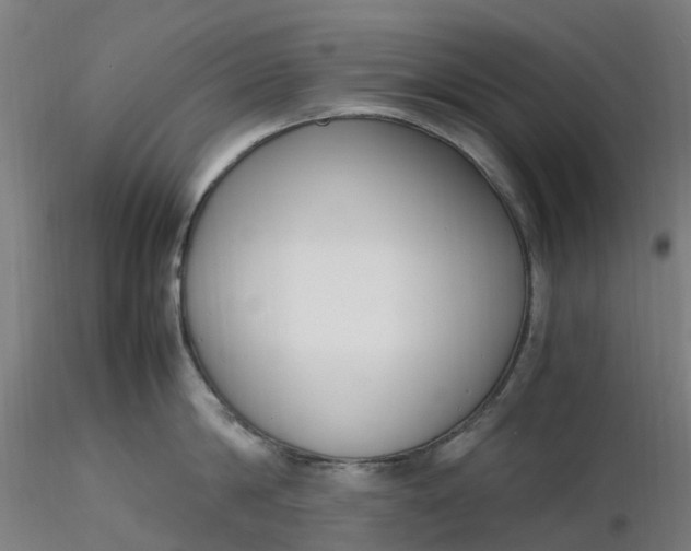 X0000116350814200912221500