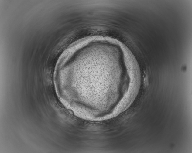 X0000116350819200912221500