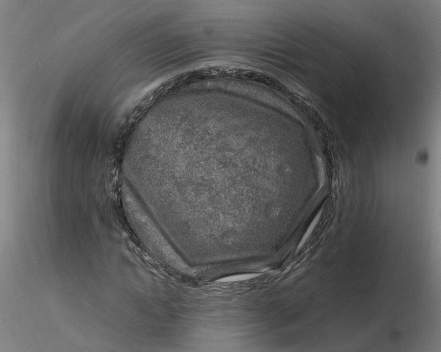 X0000116350822200912221500