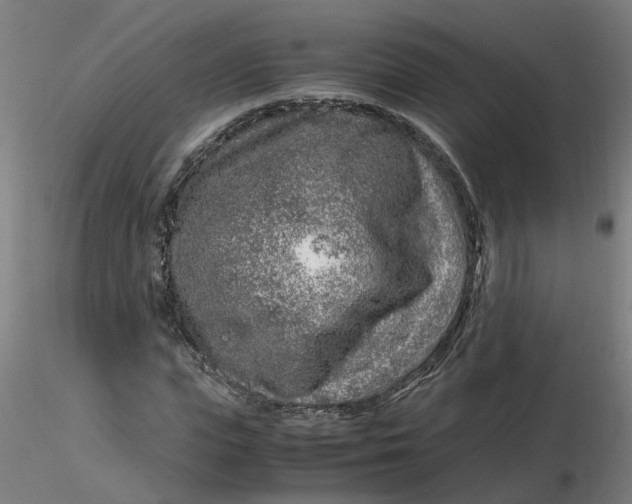 X0000116350823200912221500