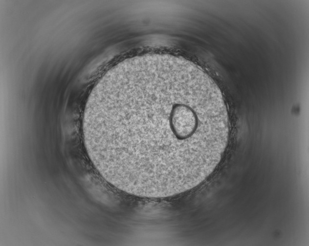 X0000116350824200912221500