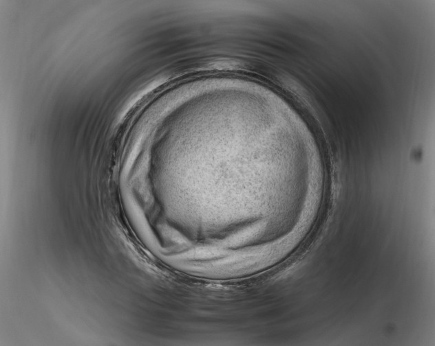 X0000116350827200912221500