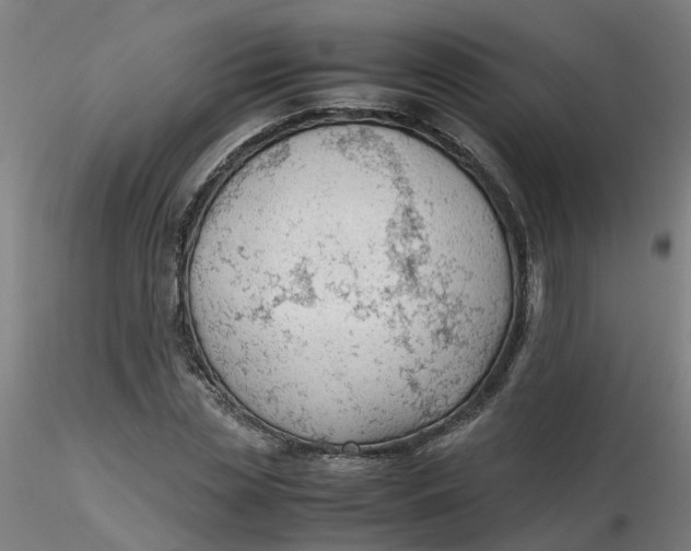 X0000116350829200912221500