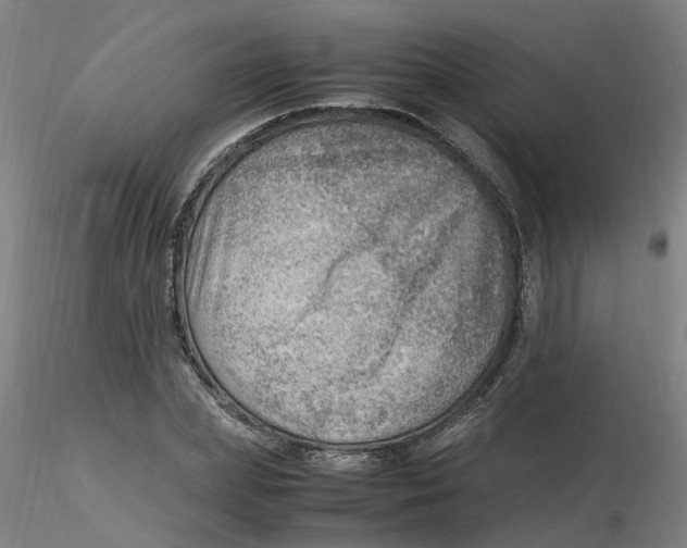 X0000116350831200912221500