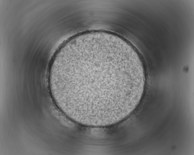 X0000116350832200912221500