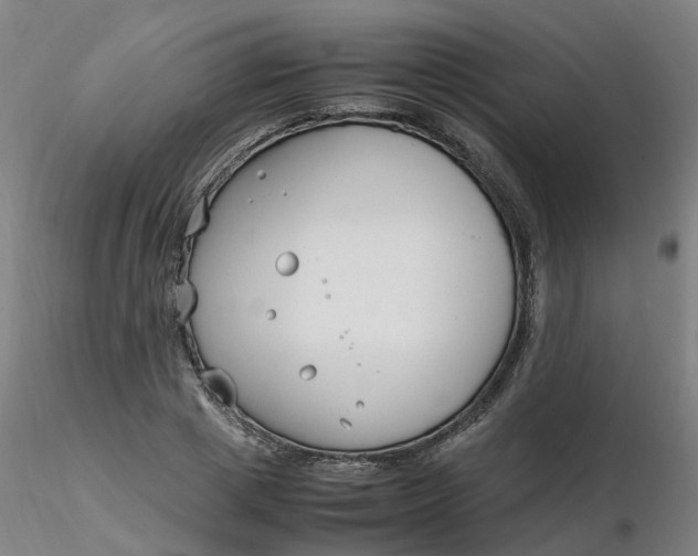 X0000116350833200912221500