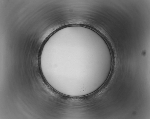 X0000116350834200912221500