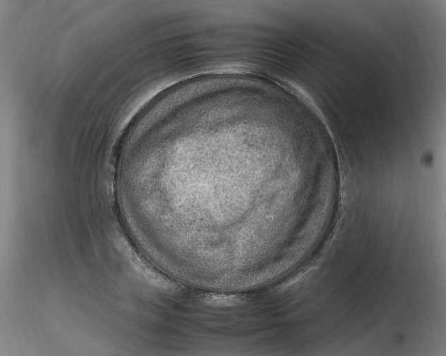 X0000116350835200912221500