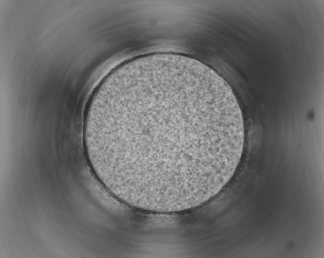 X0000116350836200912221500