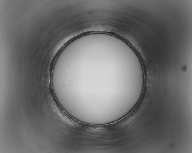 X0000116350837200912221500